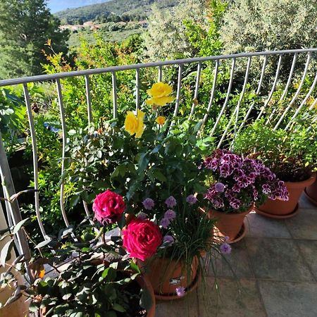 B&B Easy Wind Cala Gonone Exterior photo